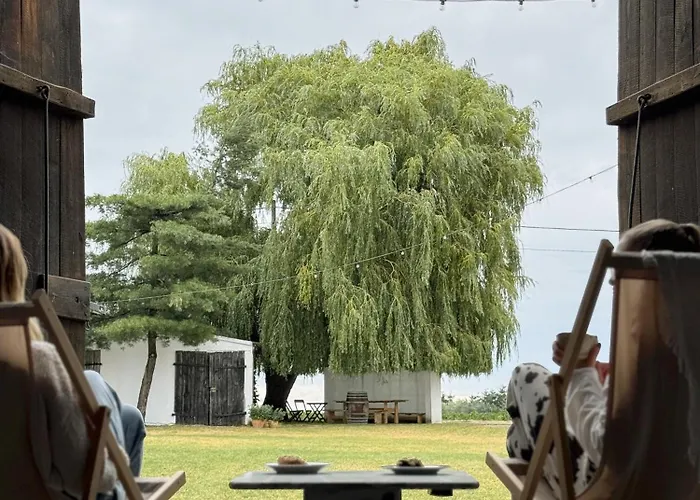 Rusiborek Slow * Murzynowo Kościelne